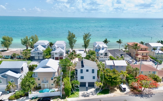 Coconut Palm Paradise 2