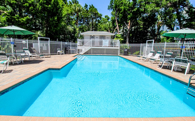 Saltwater Palms 9
