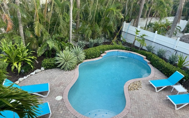 Dolphin House 2