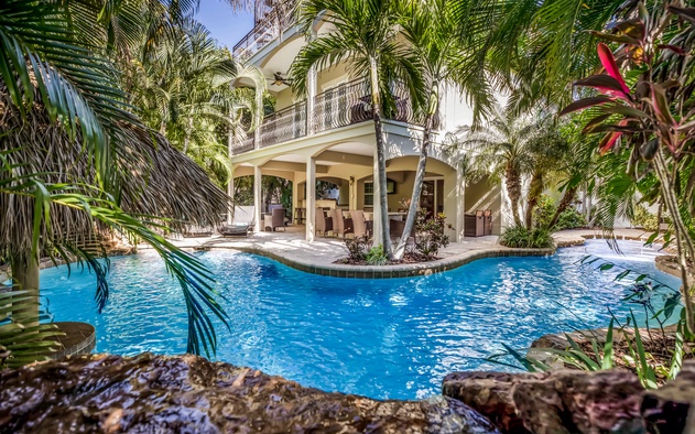 It's a Jungle Out There