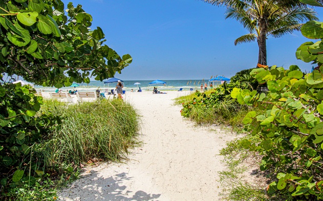 Saltwater Palms 10