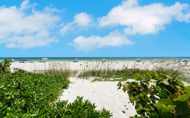 Beachfront Bungalow 5