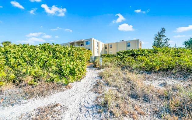 Gulf Sands 102 7