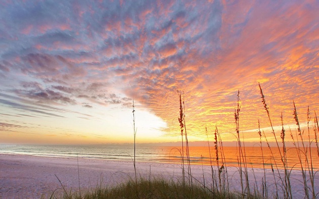 Emerald Shores West 7