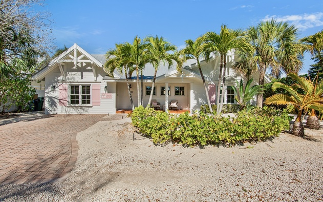 The Pink Palm 8