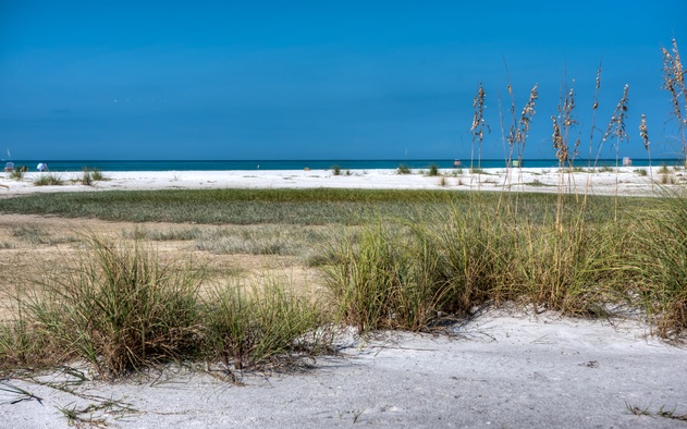 Shells and Sunshine 6