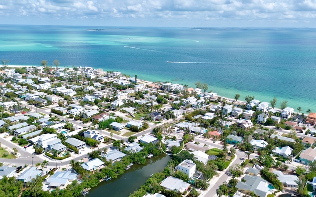 Palm Trees and Manatees 8