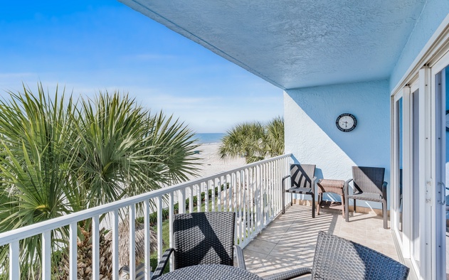 Sand Dollar 202 5