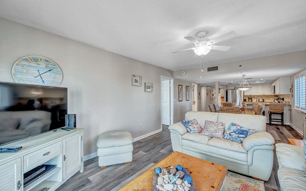Sand Dollar 401 6