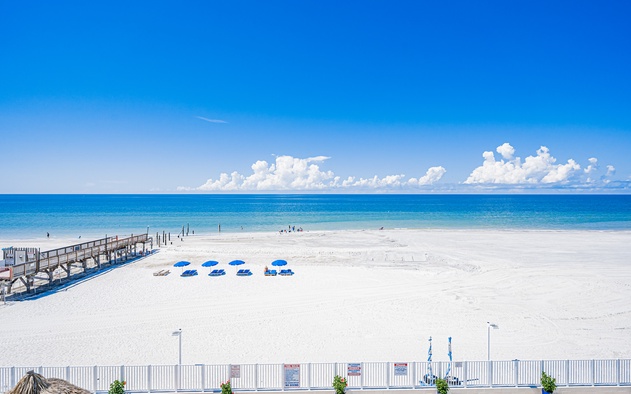Sand Dollar 309