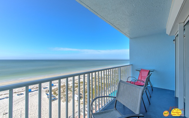 Sand Dollar 509