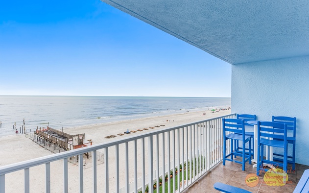 Sand Dollar 402 2