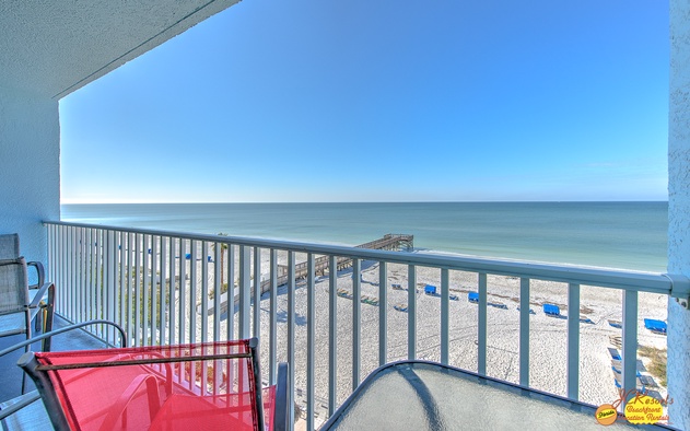 Sand Dollar 509 2