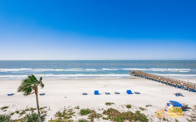Beach Palms 409 4