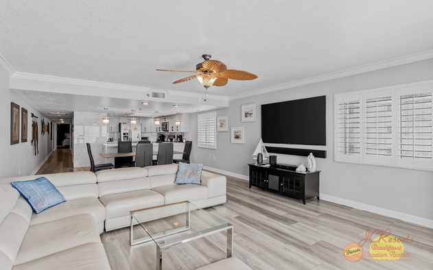 Sand Dollar 402 8