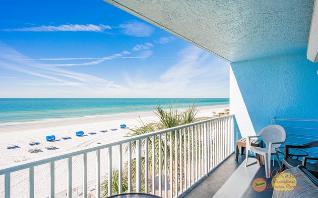 Sand Dollar 306 2