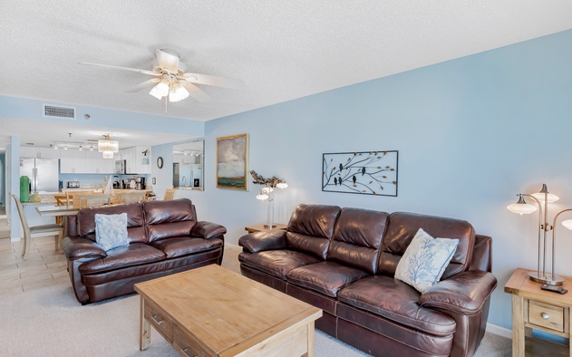 Sand Dollar 207 5