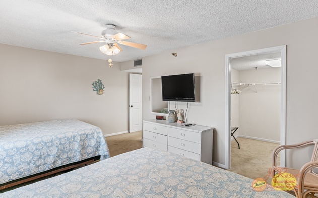 Sand Dollar 206 10