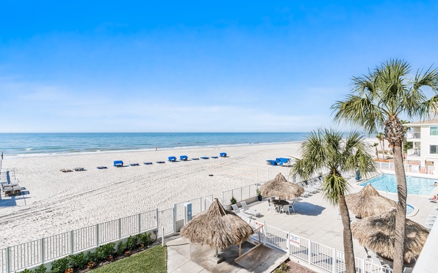 Sand Dollar 205 3