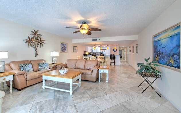 Sand Dollar 209 5