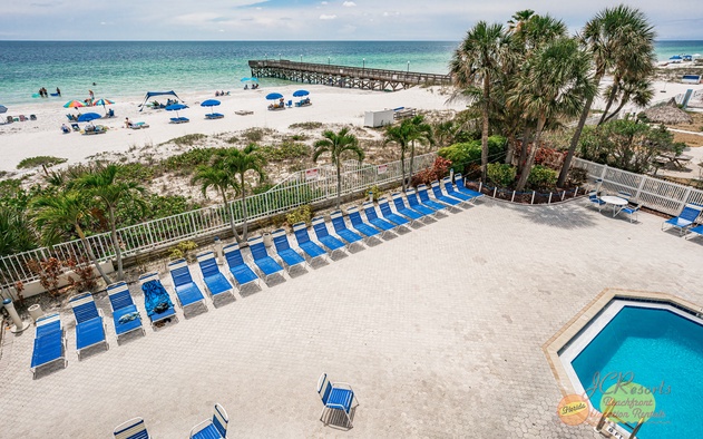 Beach Palms 409 3
