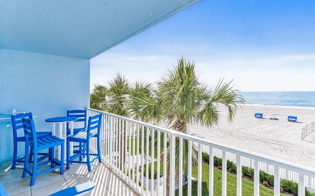 Sand Dollar 204 4
