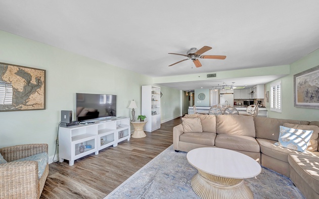 Sand Dollar 502 5