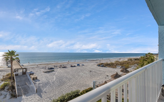 Sand Dollar 304