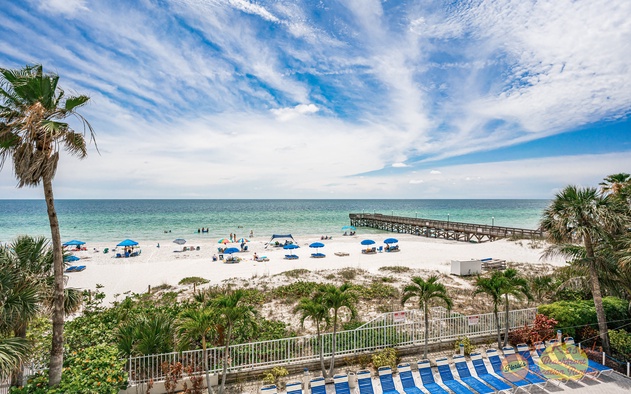 Beach Palms 409 2