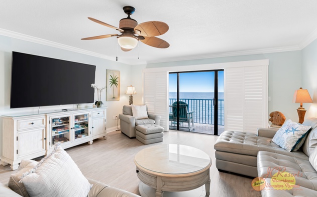 Sand Dollar 504 6