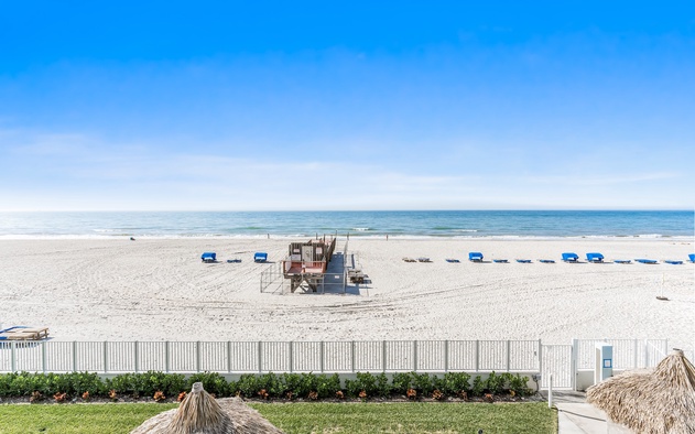 Sand Dollar 205 2