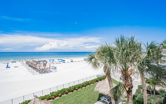 Sand Dollar 203