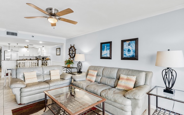 Sand Dollar 407 7