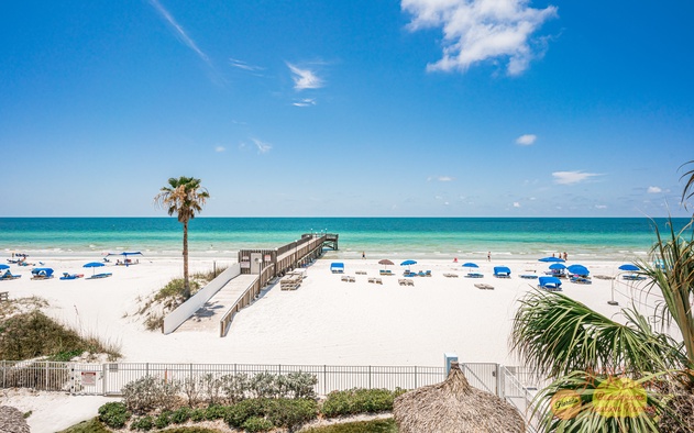 Sand Dollar 206