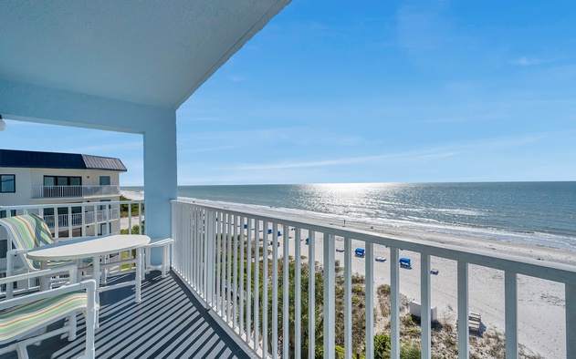 Sand Dollar 502