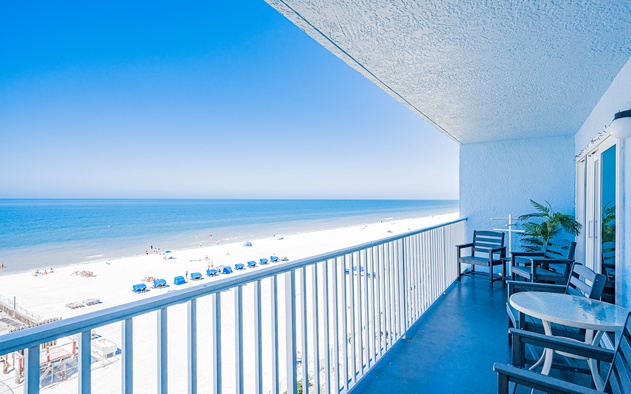 Sand Dollar 503 2