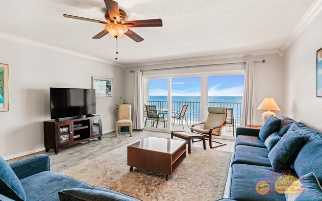 Sand Dollar 506 4