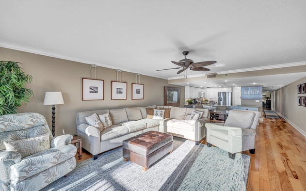Sand Dollar 304 6