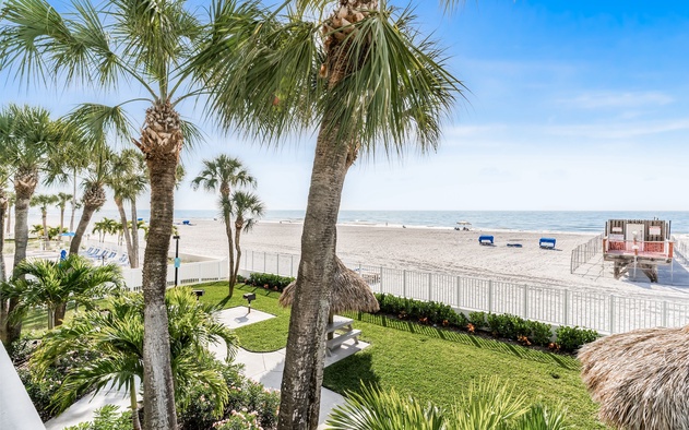 Sand Dollar 104 2