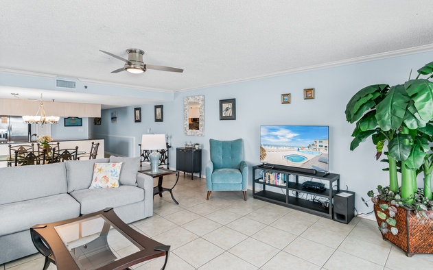 Sand Dollar 511 7