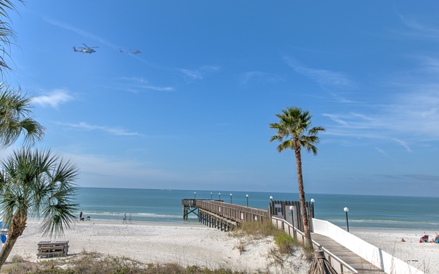 Sand Dollar 102 2