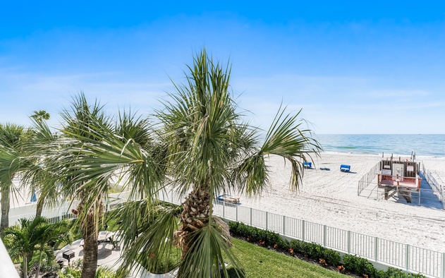 Sand Dollar 204