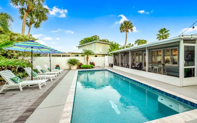 Blue Palm 4