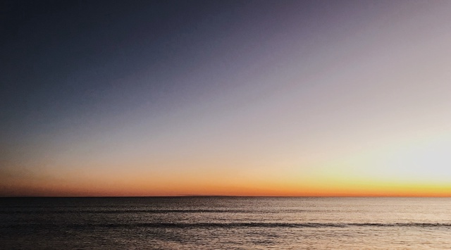 Photo Nov 26, 5 04 54 PM