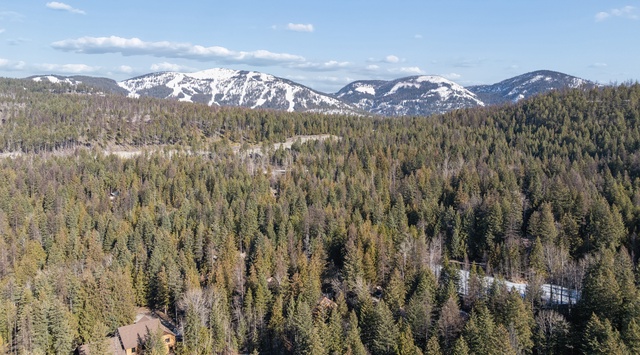 Expansive mountain views showcase snow-capped peaks rising above dense forest valleys in this scenic alpine setting.