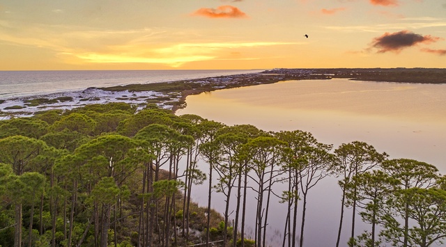 This aerial view captures the coastal landscape surrounding the property at sunset, where pine forests meet tranquil waters and the ocean horizon glows with golden light.