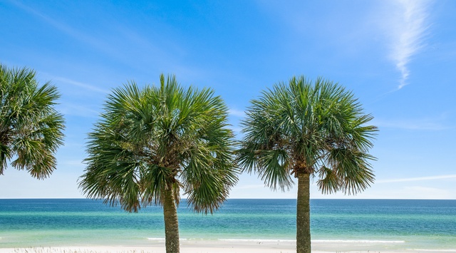 Pristine white sand beach meets crystal-clear turquoise waters under swaying palm trees and endless blue skies.