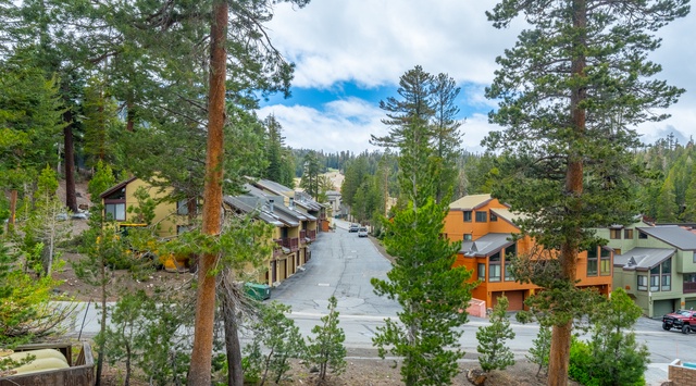 A mountain community nestled among towering pines, with colorful homes lining a quiet street under a clear blue sky—peaceful and picturesque.