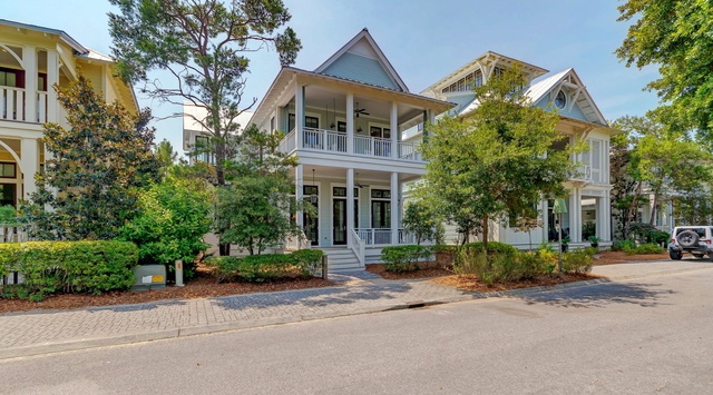 WaterColor 36 Mist Flower