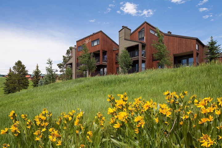 This modern alpine property is nestled on a scenic hillside, surrounded by lush greenery and vibrant wildflowers, offering a serene mountain escape under bright blue skies.